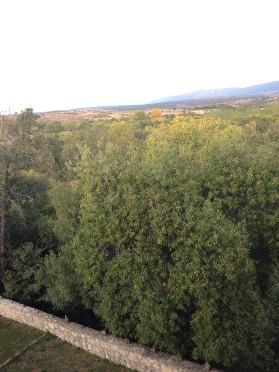 Apartamento Rural La Muralla De Pedraza Chavida 외부 사진